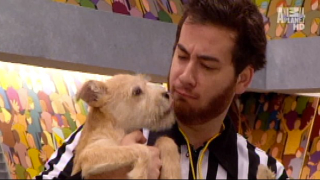 Illustration for article titled Your Obligatory, Adorable Puppy Bowl VII Highlights